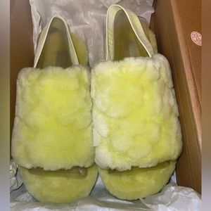 Ugg Slides/Slippers